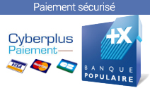 Paiement sécurisé Carte Grise Par Internet