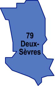 Carte grise Par Internet - Votre carte grise en ligne dans le 79 - Niort Carte Grise Par Internet - Votre carte grise en ligne dans le 79 - Niort