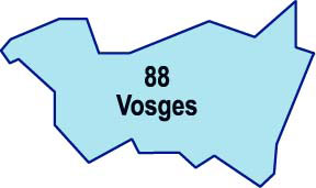 Carte grise Par Internet - Votre carte grise en ligne dans le 88 - Epinal Carte Grise Par Internet - Votre carte grise en ligne dans le 88 - Epinal
